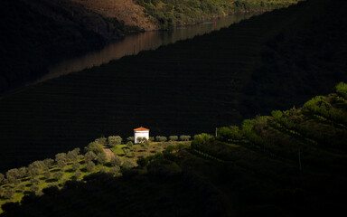 Wine Farm Vineyards in Douro Valley, Vila Nova de Foz Coa, Portugal.