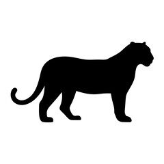 Elegant black panther silhouette standing gracefully against a stark white background