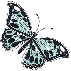 Adobe Illustrator Artwork Vector illustration of black butterfly with dark spots.