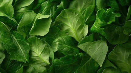 Close-up of a pile of green leafy vegetables. the leaves are large and oval-shaped, with a slightly wrinkled texture. they are arranged in a scattered manner, with some overlapping each other.
