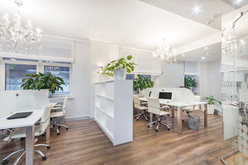 Fototapeta premium Stylish design of office space. A desk with comfortable chairs, filing cabinets. The interior is decorated in white.