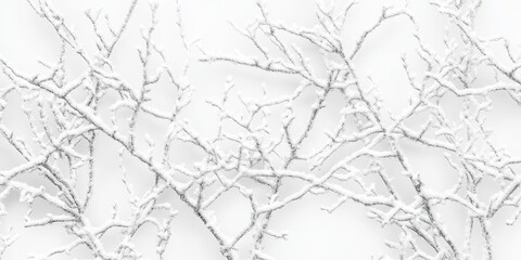 Winter Branches Texture