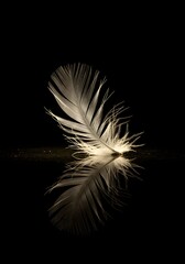 Ethereal feather reflection on black, capturing lightness and detail with a moody and dramatic artistic flair, creating a visually striking composition