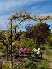 lovely summer garden