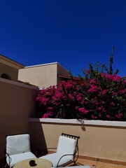 summer beautiful sunny house