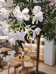 flowers on the table