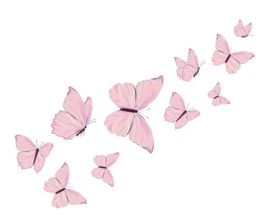 pink butterfly watercolor hand drawn 