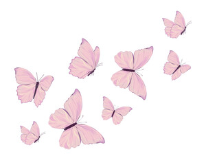 pink butterfly vector watercolor hand drawn design