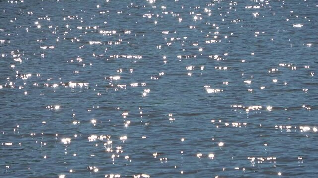 Bright sunlight generating thousands of glittering reflections dancing across rippling blue water surface, creating shimmering natural light pattern.