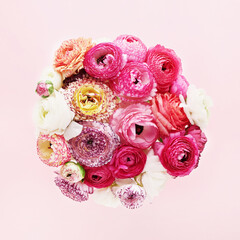 Bouquet of pink ranunculus flowers on pink background. Mothers Day, Valentines Day, birthday concept