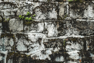 Textured stone wall with green moss and plants near urban area during daylight hours