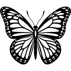 butterfly vector illustration