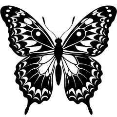 butterfly vector illustration