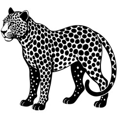 leopard vector illustration