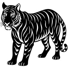 tiger vector illustration