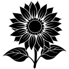 sunflower vector illustration