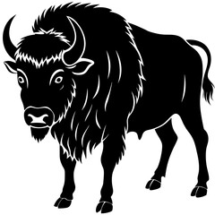 black and white vector illustration