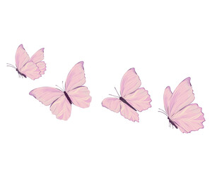 pink butterfly monarch hand drawn