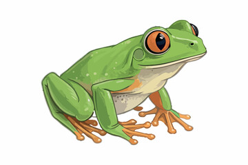 Green Frog Tropical Animal