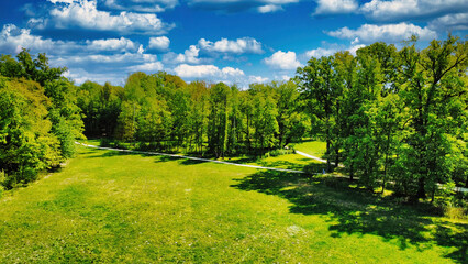 spring landscape with trees