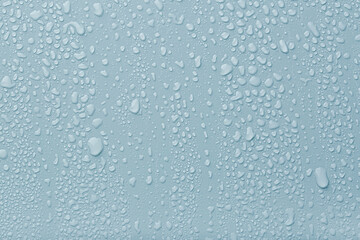 Many water drops on light blue background