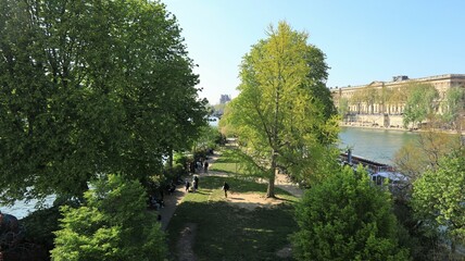 Vue sur le square du Vert-Galant à Paris, petit jardin planté d’arbres à la pointe de l’île de la Cité, avec vue sur le palais du Louvre, au printemps (France)
