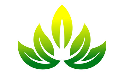 green plant leaf logo design