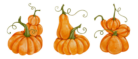 Colorful autumn compositions with ripe, juicy pumpkins. Seasonal decor. Vector graphics.
