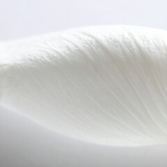 Obraz premium beautiful detailed abstract flower petal close up seamless wallpaper background, graphic resource