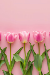 Fototapeta premium Light pink tulips in a row on soft background. Easter and floral simplicity concept. 