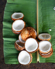 Open Coconuts