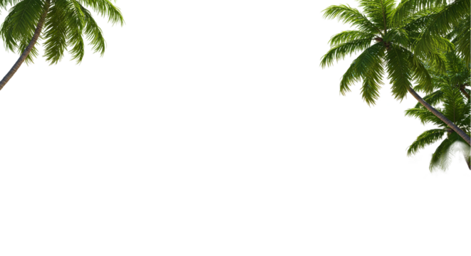 Green palm tree leaves corner frame isolated on white background, ideal for tropical summer designs, vacation banners, beach party invites, and botanical nature-themed decoration graphics