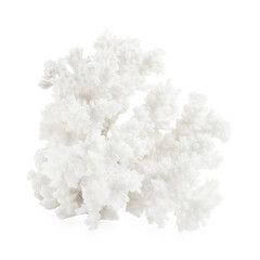One beautiful decorative coral isolated on white
