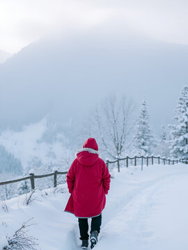 neve sui rami