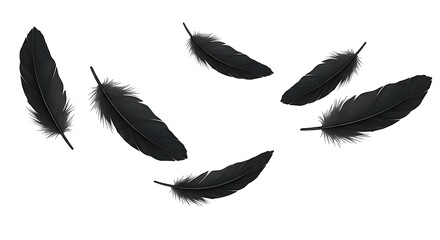 black feathers flying from a hallowen wing
