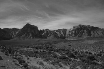 Vegas Landscape BW