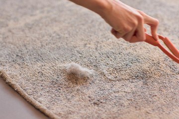 Cleaning Carpet Fibers Effective Techniques for Home Care to Maintain a Fresh Look and Feel