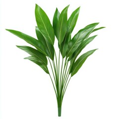 Obraz premium Discover the vibrant beauty of tropical leaves, perfect for enhancing your space with a touch of nature.