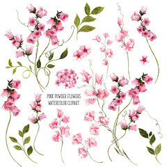 Watercolor clipart with hand draw flowers of pink powder color, elegant floral for wedding invitation, isolated on white background