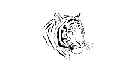 Majestic Tiger Head Black and White Line Art Wildlife Illustration Animal Portrait