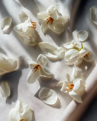 A close up of white flowers with a few petals missing