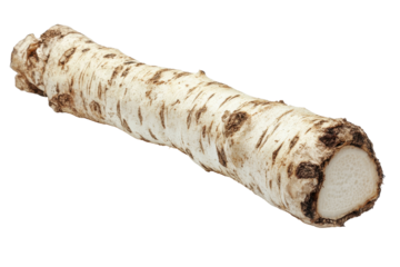 Fresh horseradish root ready for culinary use in sauces, dressings, and home cooking to enhance flavors in various dishes