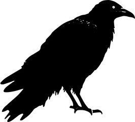 silhouette of a bird