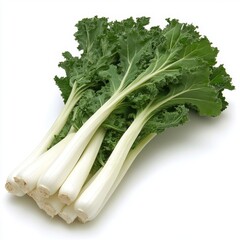 Fresh, Healthy, and Nutritious White Vegetable on white background