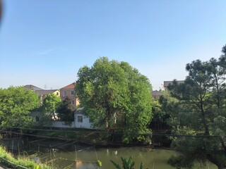 Obraz premium Suburban houses and lush green trees along a calm river bank under a clear blue sky