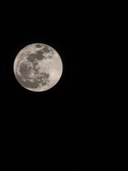 full moon in the night