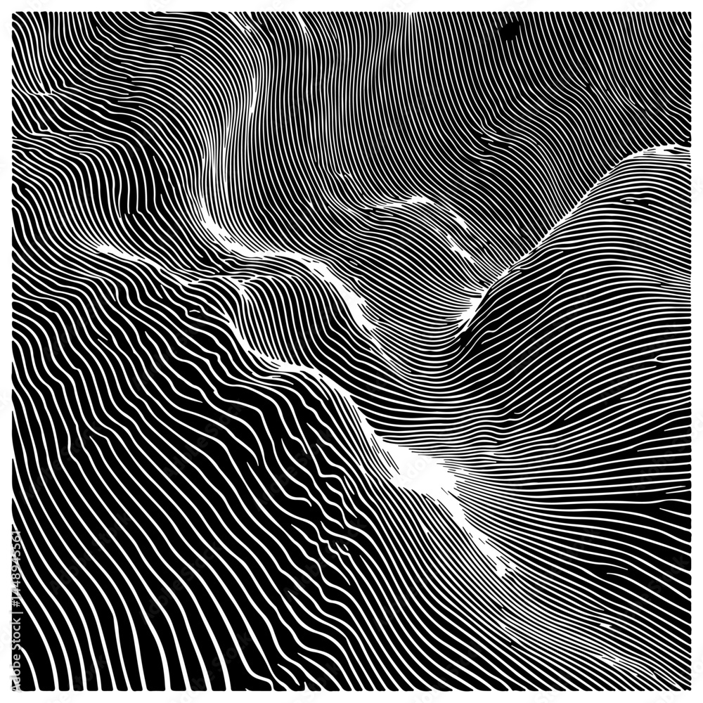 Poster dynamic black and white vector art featuring wavy, hypnotic lines. the abstract pattern creates an o