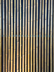 都心散歩　根津美術家　カキツバタの頃