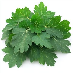 Fresh Parsley Leaves - Vibrant Green Herb on white background