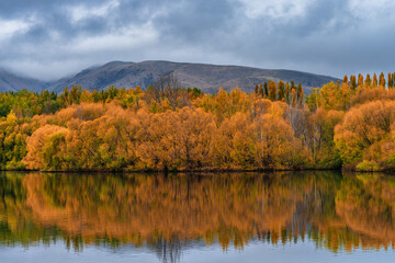 View of Wairepo arm , and its vibrant autumn colour at an arm  of Lake Ruataiwha, Twizel